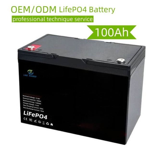 12 V 100Ah LiFePO4 Battery
