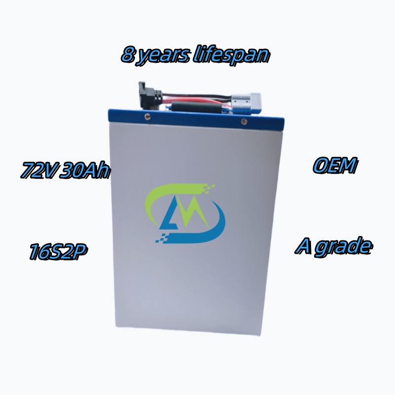 OEM 72V 30Ah Battery